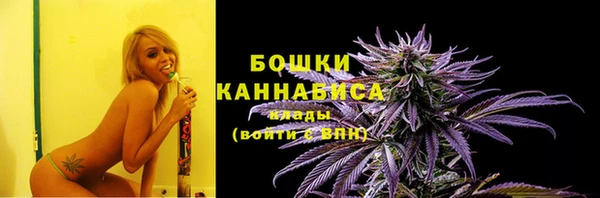сатива Балабаново