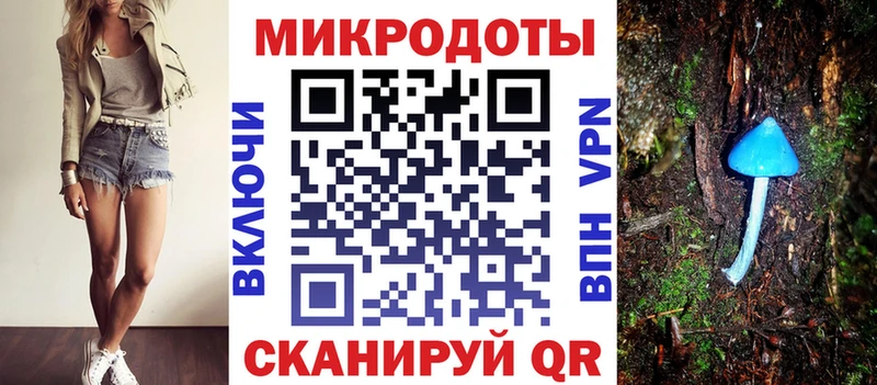 Галлюциногенные грибы Psilocybe Таштагол